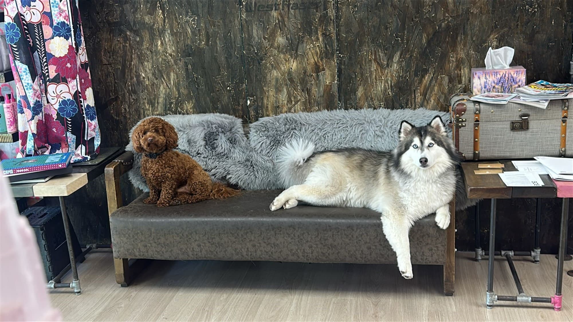 Salon Dogs Waiting Area Dollhouse Hair